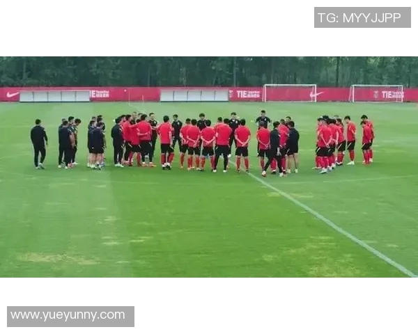 北京排球队灵活性引发热议球迷与专家的观点碰撞解析 北京排球队灵活性引发热议球迷与专家的观点碰撞解析