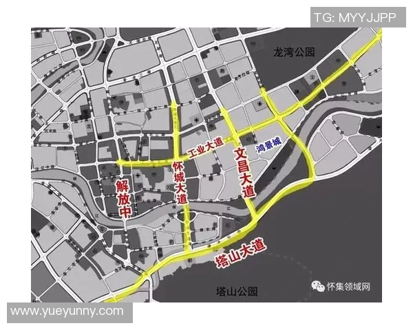 广州排球队在联合会杯中的实力展现与未来发展潜力分析