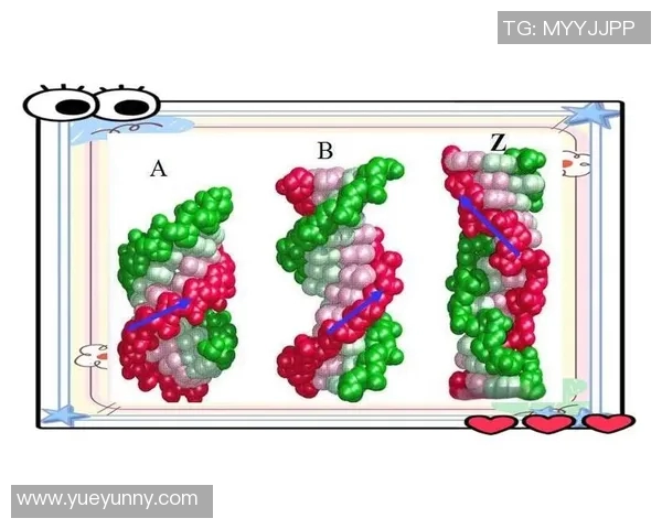 成都乒乓球队技术解析：从基础训练到比赛策略的全面探讨