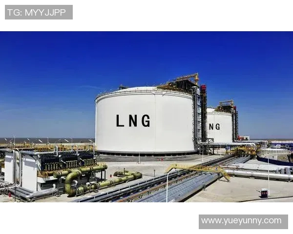 深入分析LNG行业运营策略与市场动态的专业解读 深入分析LNG行业运营策略与市场动态的专业解读