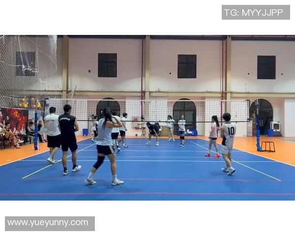 重庆排球队个人能力提升的探索与实践分析 重庆排球队个人能力提升的探索与实践分析