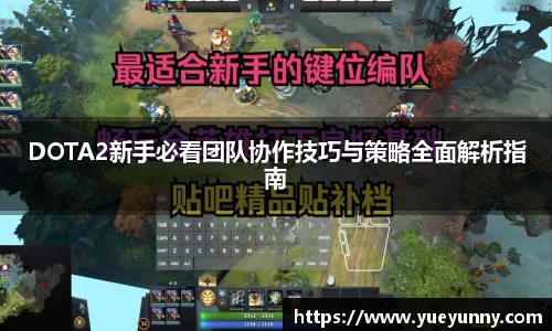 DOTA2新手必看团队协作技巧与策略全面解析指南